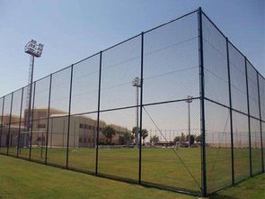 學校球場圍欄網與鋼結構網架 安全防護與空間優化的綜合解決方案